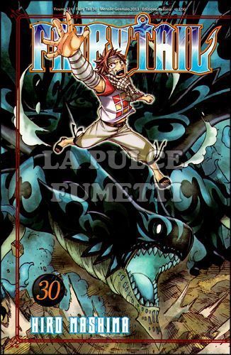 YOUNG # 224 - FAIRY TAIL 30